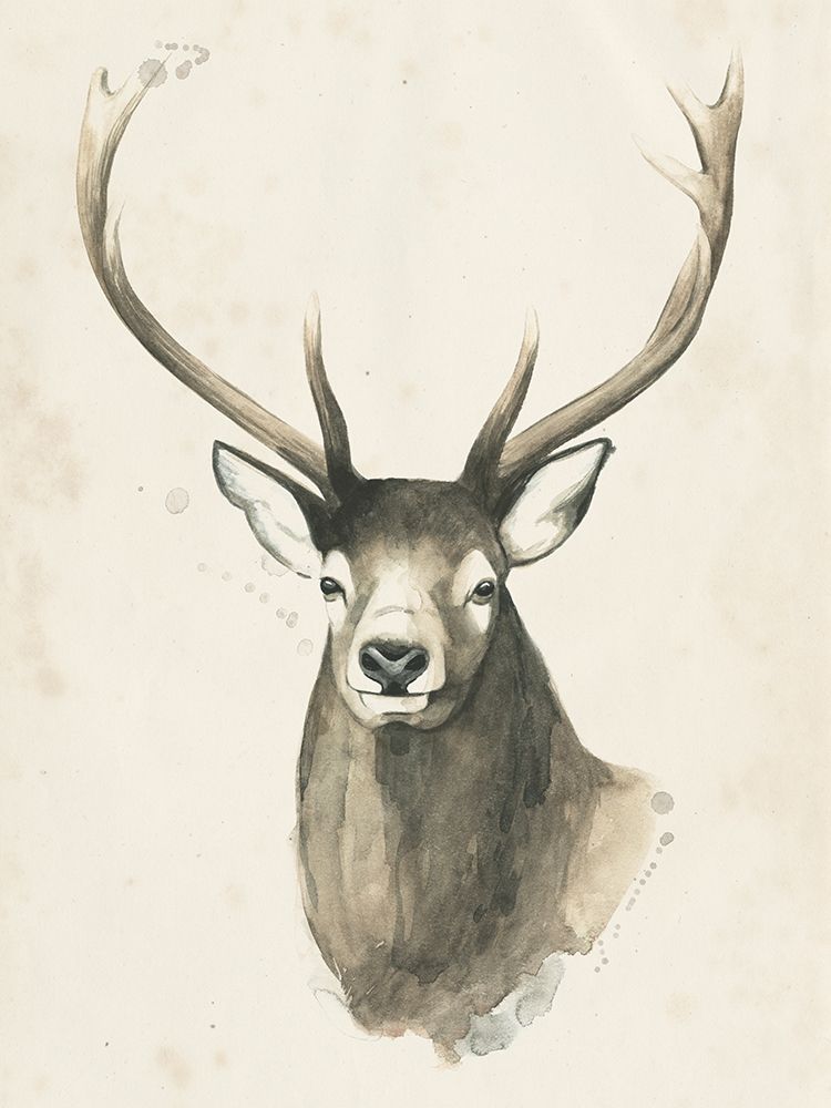 Wall Art Painting id:230537, Name: Watchful Woods IV, Artist: Popp, Grace