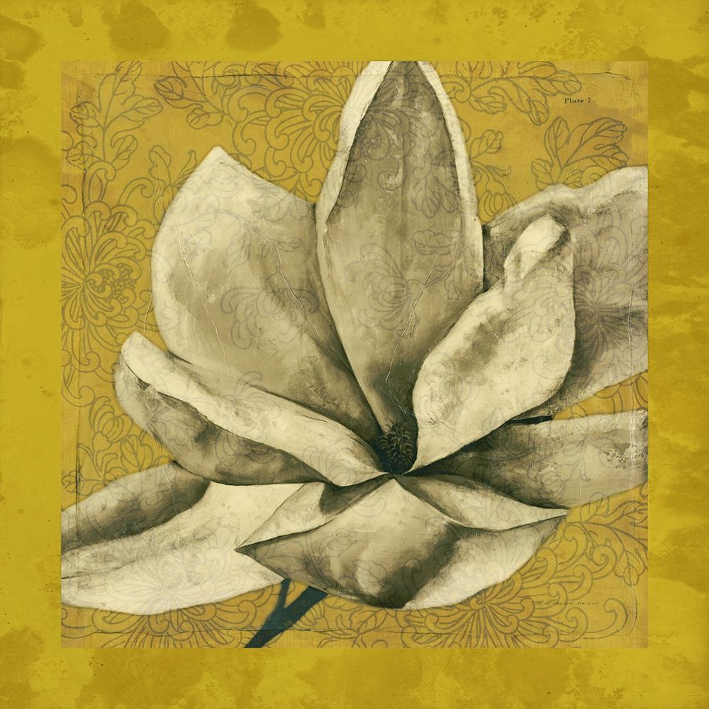 Art Print: Ecru Magnolia II
