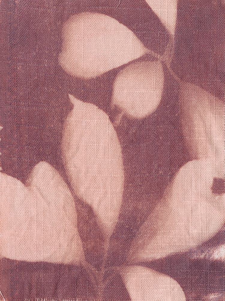 Art Print: Botanical Sun III