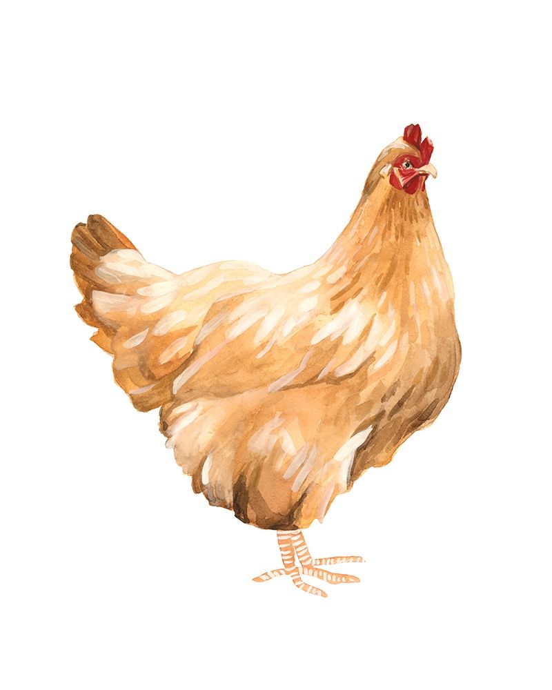 Art Print: Autumn Chicken I