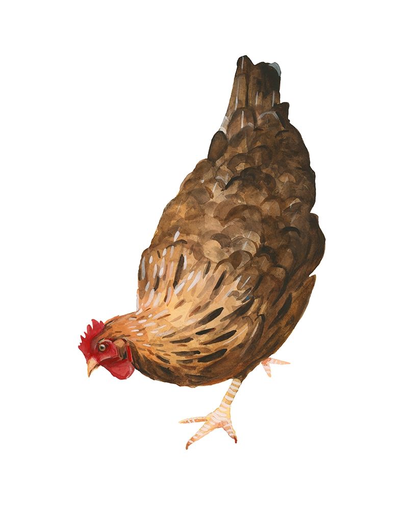 Art Print: Autumn Chicken II