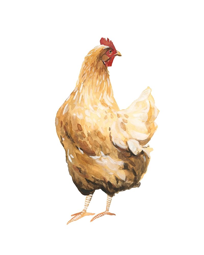 Art Print: Autumn Chicken III