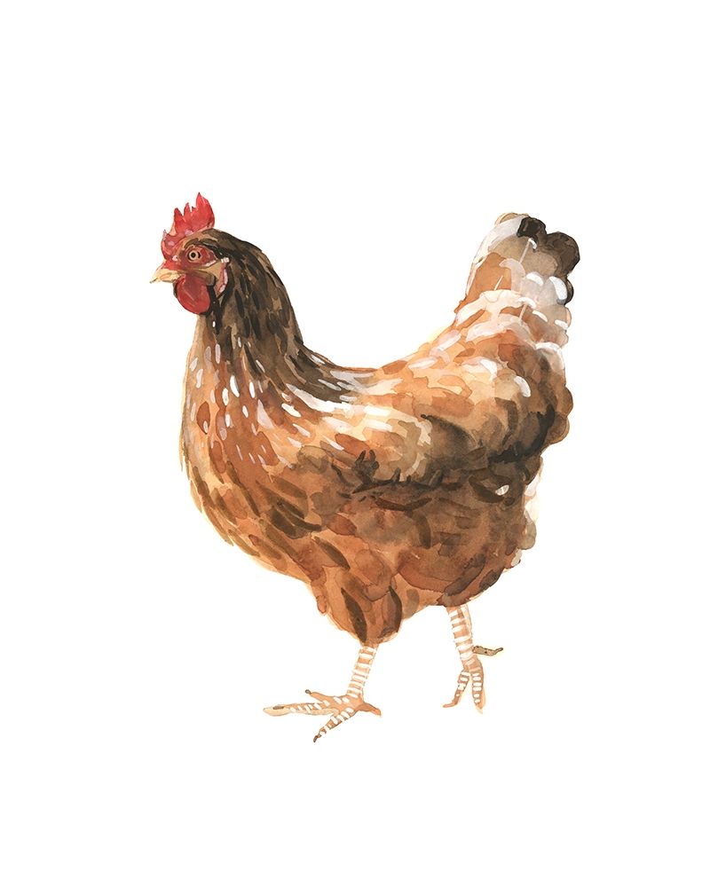 Art Print: Autumn Chicken IV
