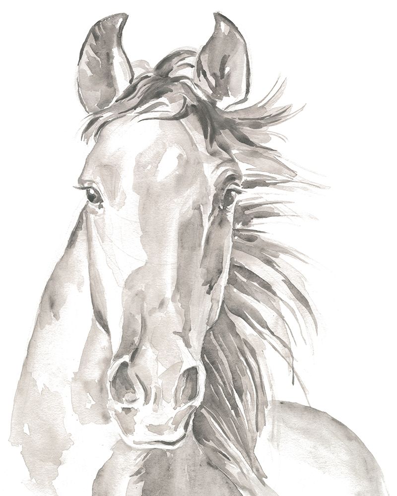 Art Print: Farm Faces II