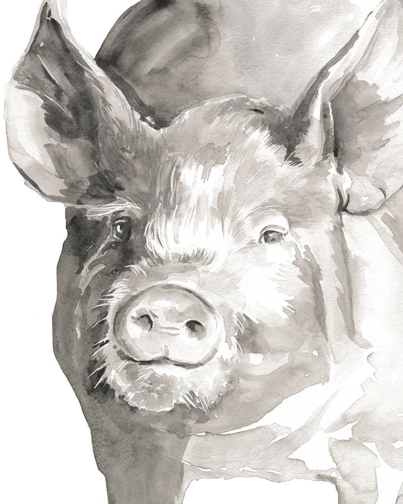 Art Print: Farm Faces III