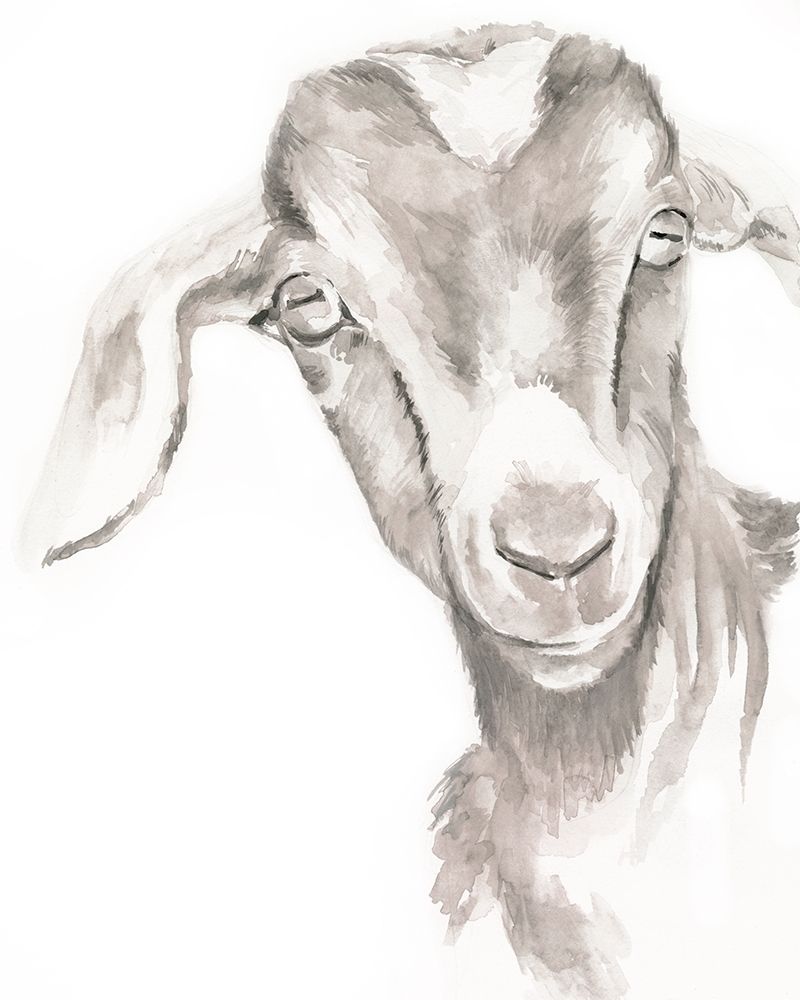 Art Print: Farm Faces IV