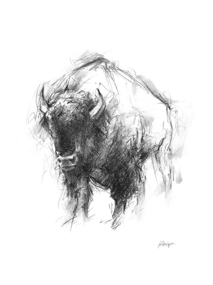 Wall art: Western Animal Sketch I, by Harper, Ethan