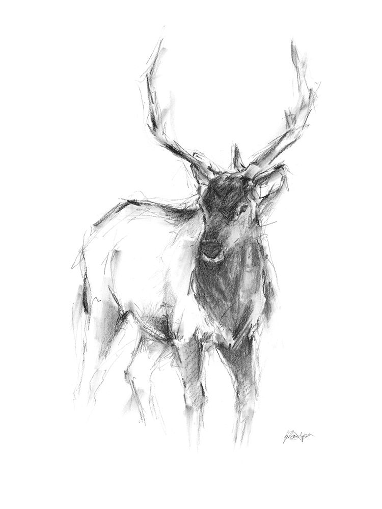 Wall art: Western Animal Sketch II, by Harper, Ethan