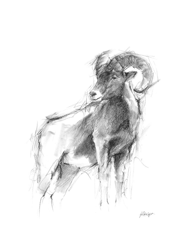 Wall art: Western Animal Sketch III, by Harper, Ethan
