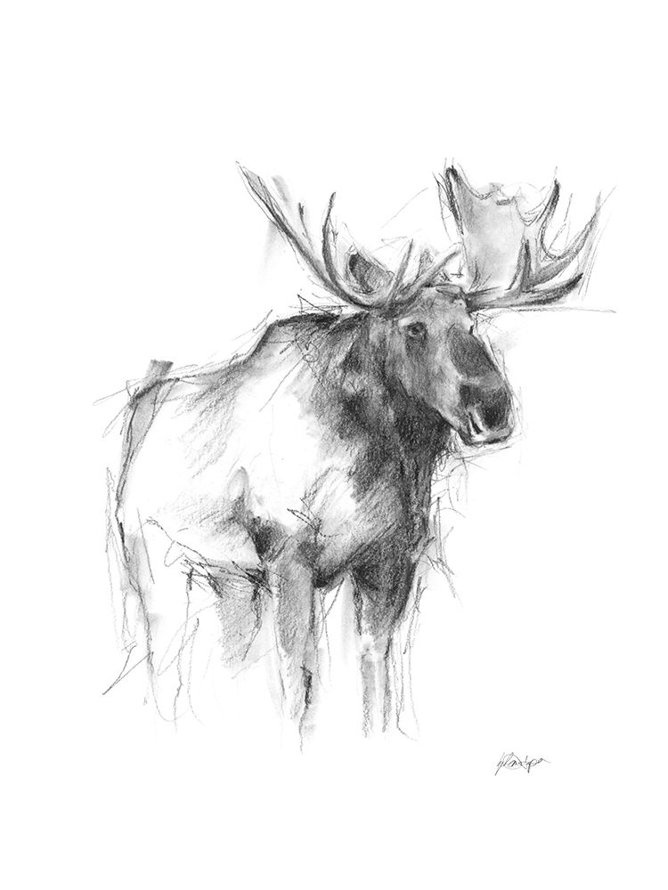 Art Print: Western Animal Sketch IV