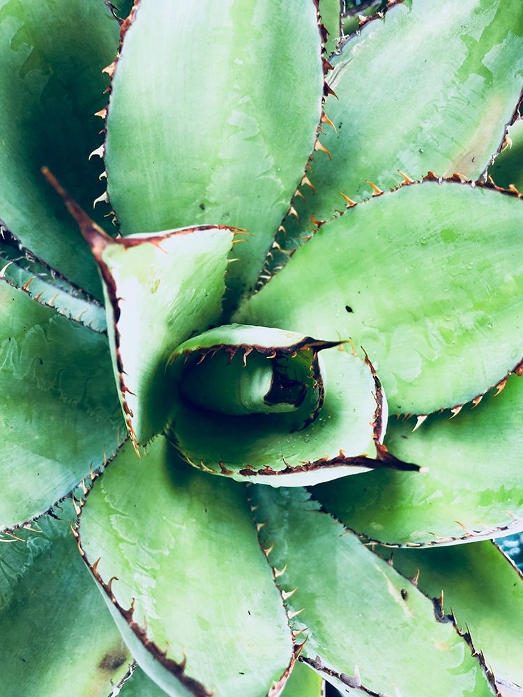 Similar wall art painting: 259346