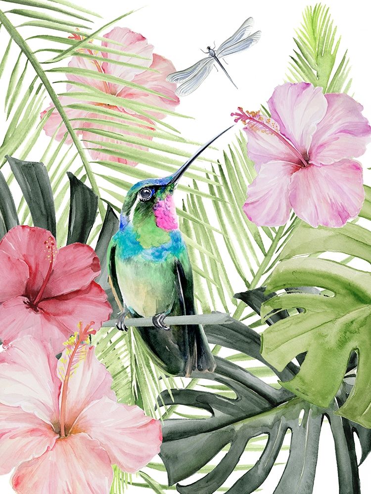 Art Print: Hibiscus and Hummingbird II