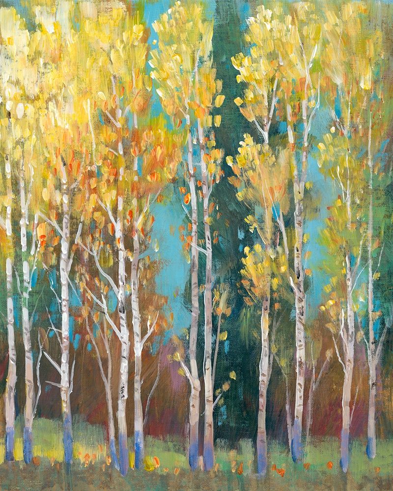 Wall art: Aspen Grove I, by OToole, Tim