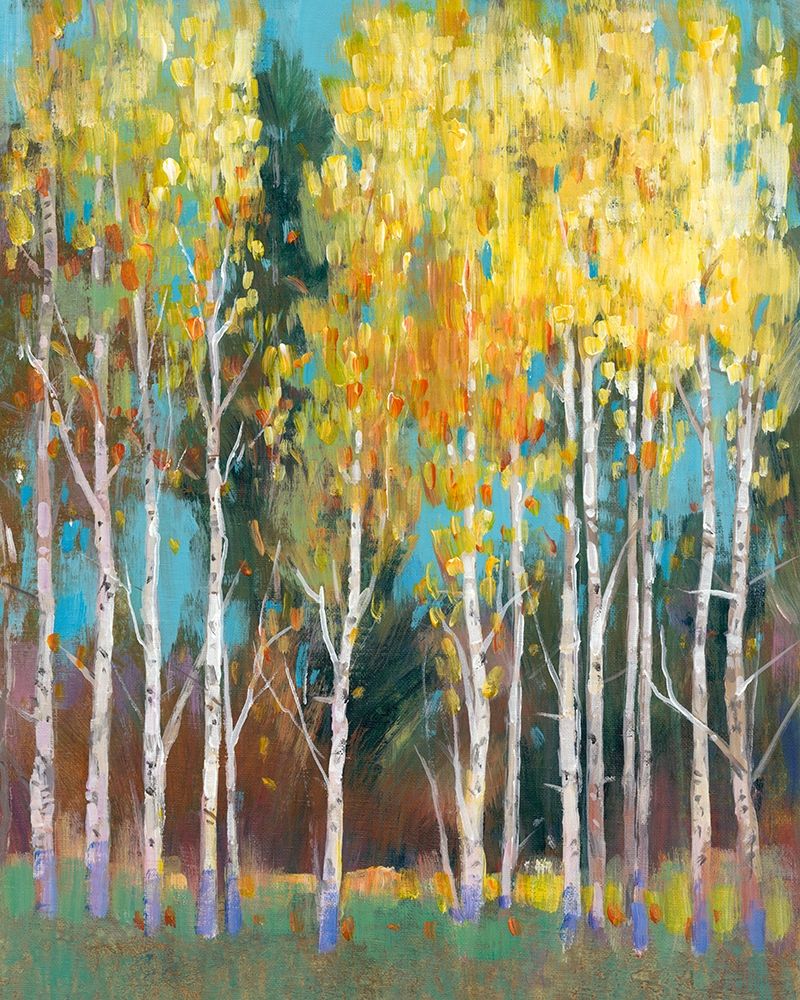 Art Print: Aspen Grove II