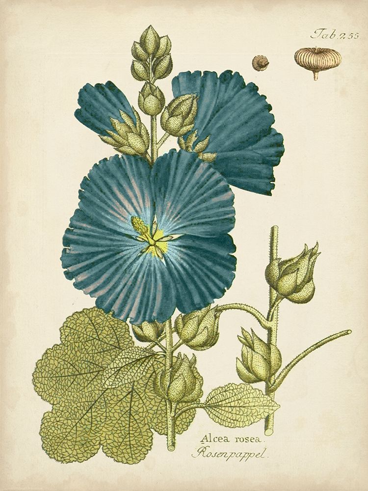 Wall art: Eloquent Botanical IV, by Vision Studio 