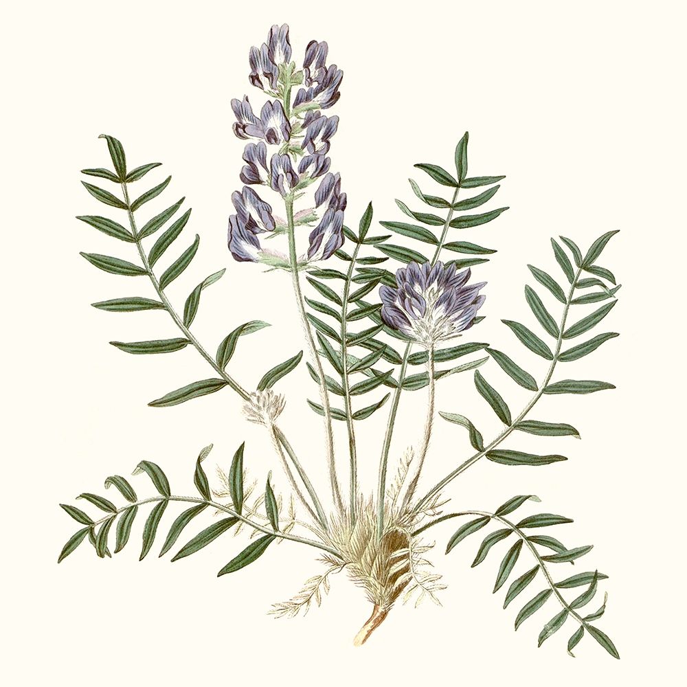 Similar wall art painting: 274546