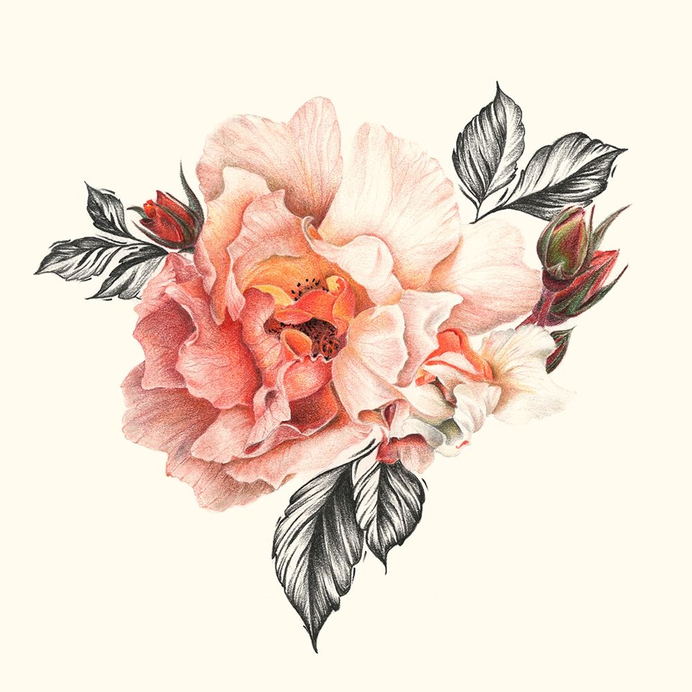 Wall Art Painting id:274795, Name: The Light of Day Rose I, Artist: Liama, Lily