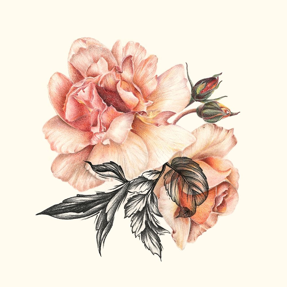 Wall Art Painting id:274796, Name: The Light of Day Rose II, Artist: Liama, Lily