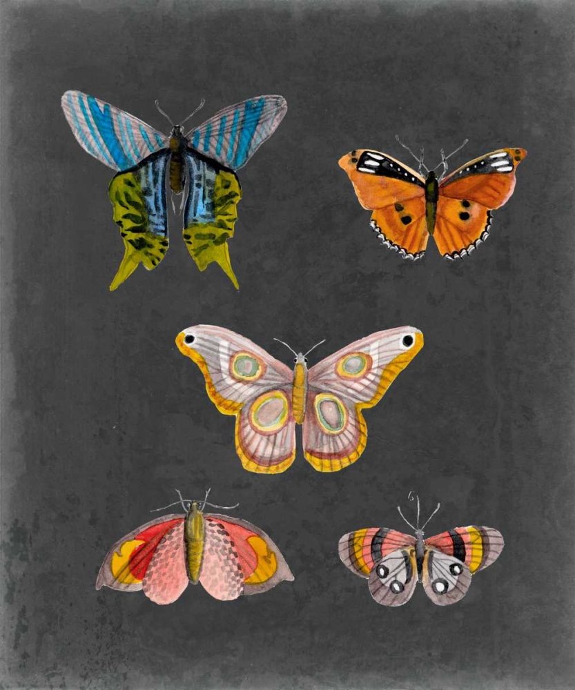 Wall Art Painting id:68345, Name: Butterflies on Slate II, Artist: McCavitt, Naomi