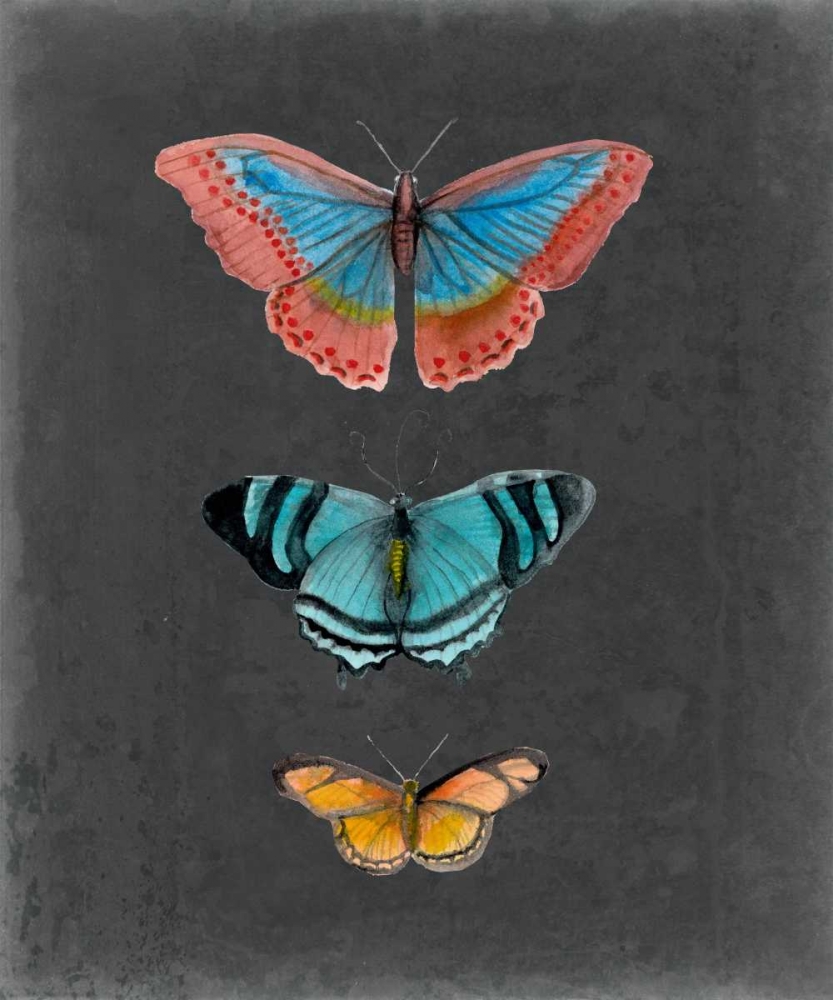 Wall Art Painting id:68346, Name: Butterflies on Slate III, Artist: McCavitt, Naomi