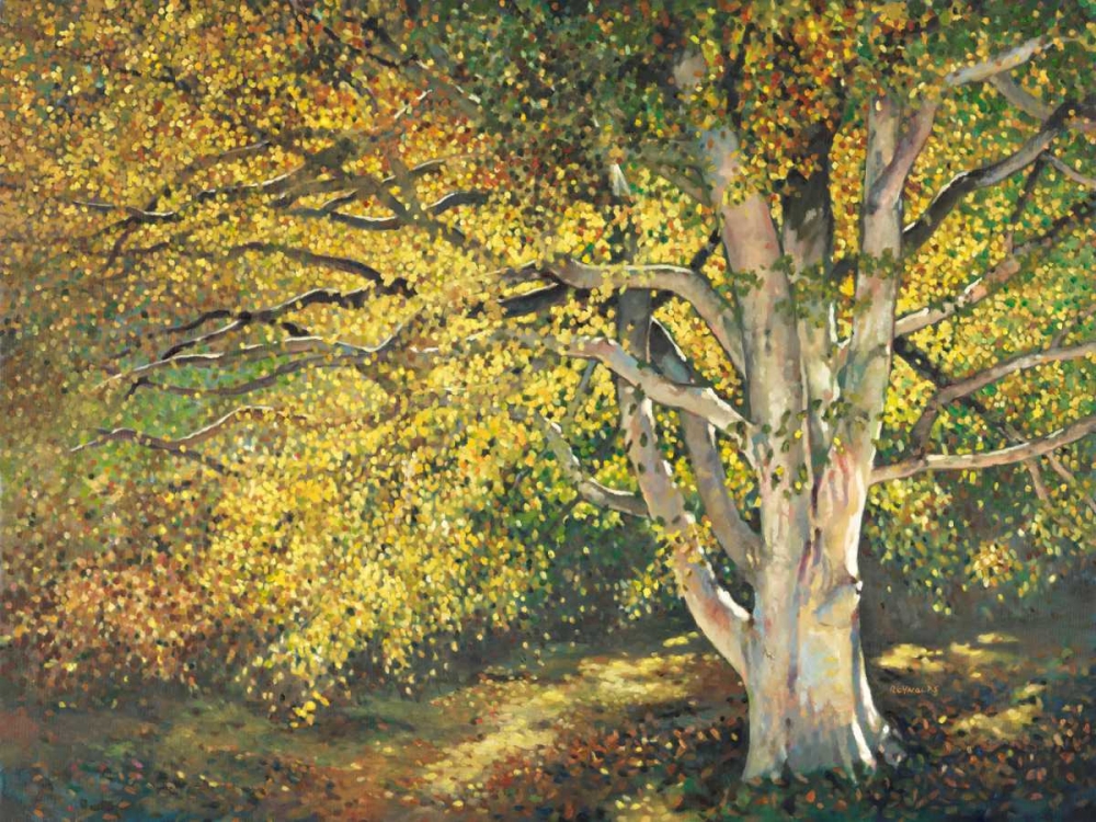 Art Print: Golden Light I