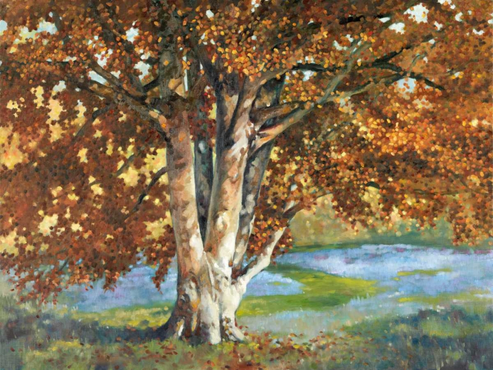 Art Print: Golden Light II