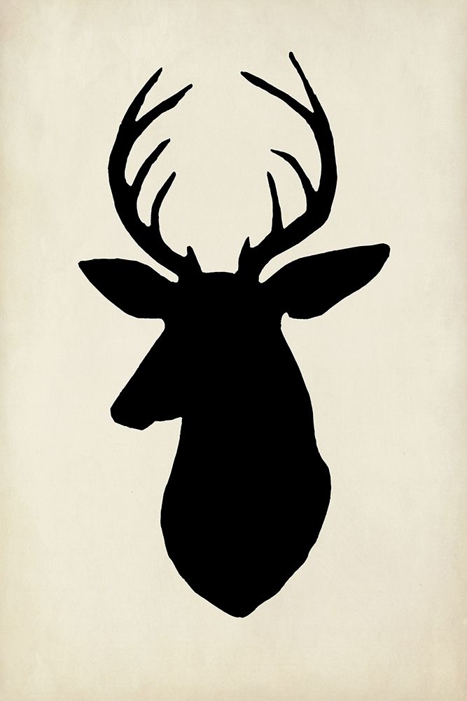Wall art: White Tail Silhouette II (PS), by Popp, Grace