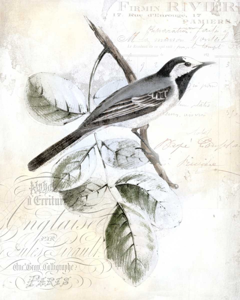 Wall Art Painting id:68396, Name: Rustic Gould I, Artist: Studio W