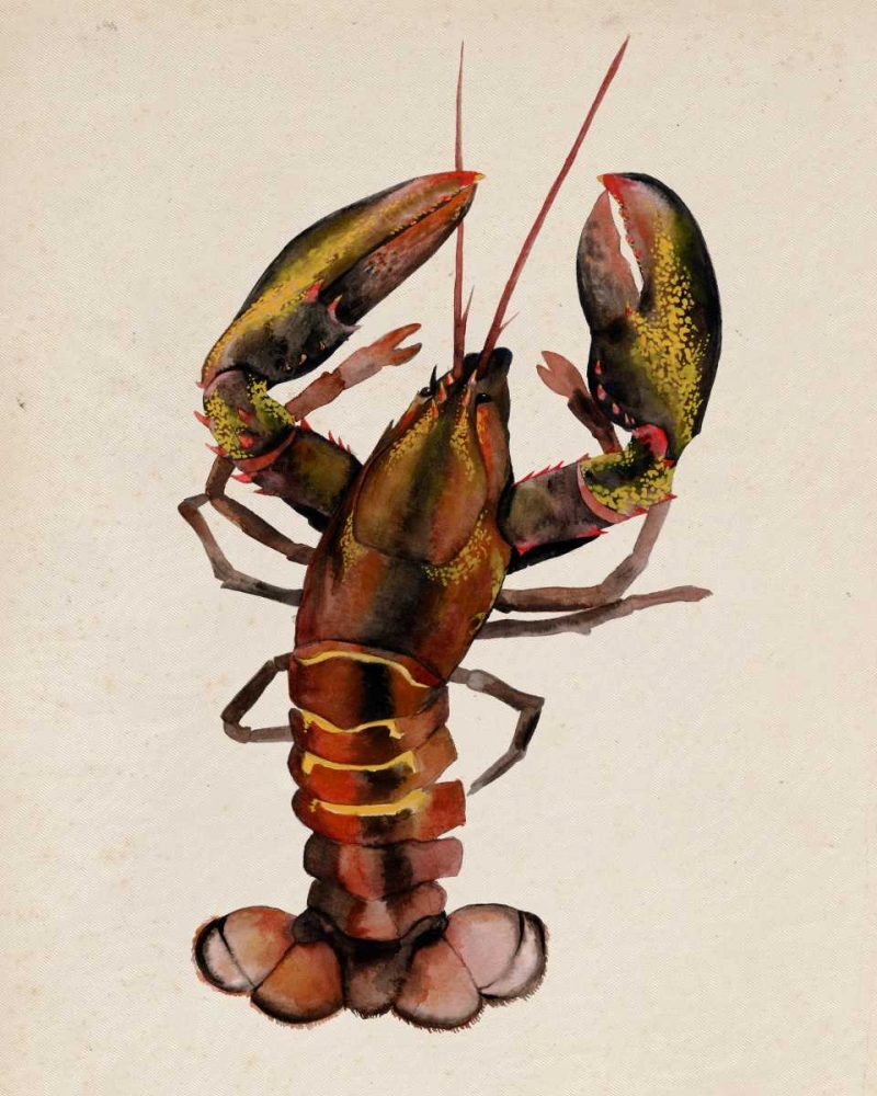 Wall Art Painting id:68401, Name: Sea Dweller II, Artist: Popp, Grace