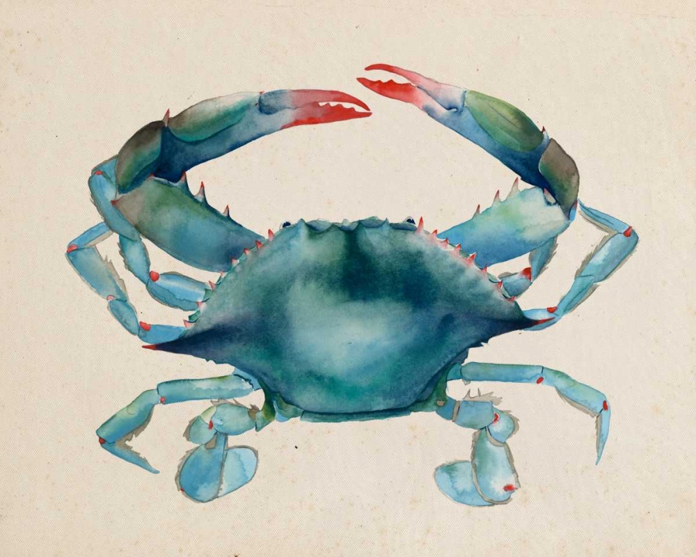 Wall Art Painting id:68402, Name: Sea Dweller III, Artist: Popp, Grace