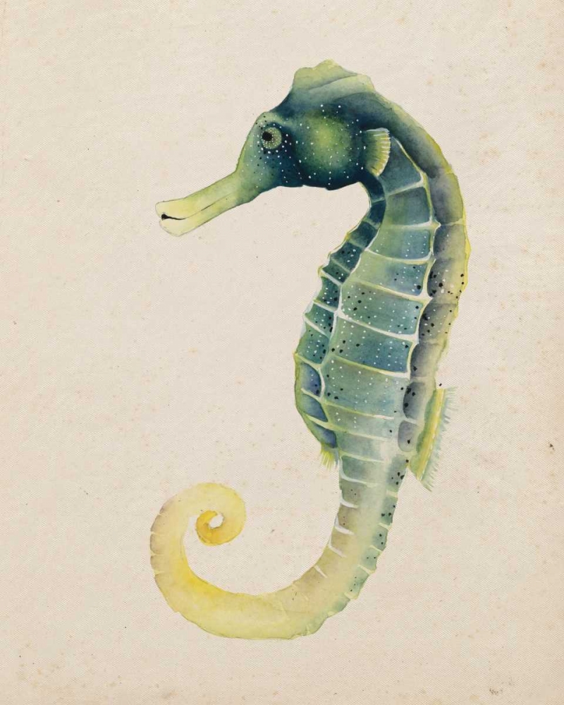 Wall Art Painting id:68404, Name: Sea Dweller V, Artist: Popp, Grace