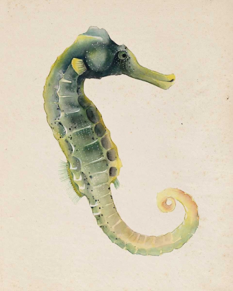 Wall Art Painting id:68405, Name: Sea Dweller VI, Artist: Popp, Grace