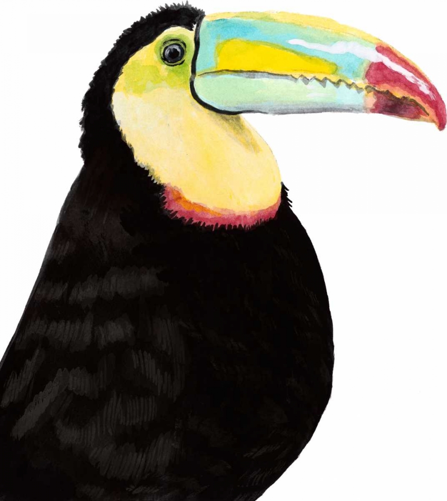 Art Print: Watercolor Toucan