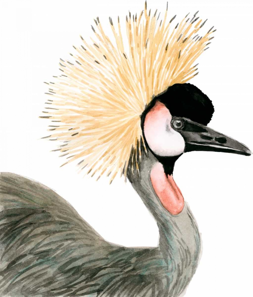 Art Print: Watercolor Crested Crane