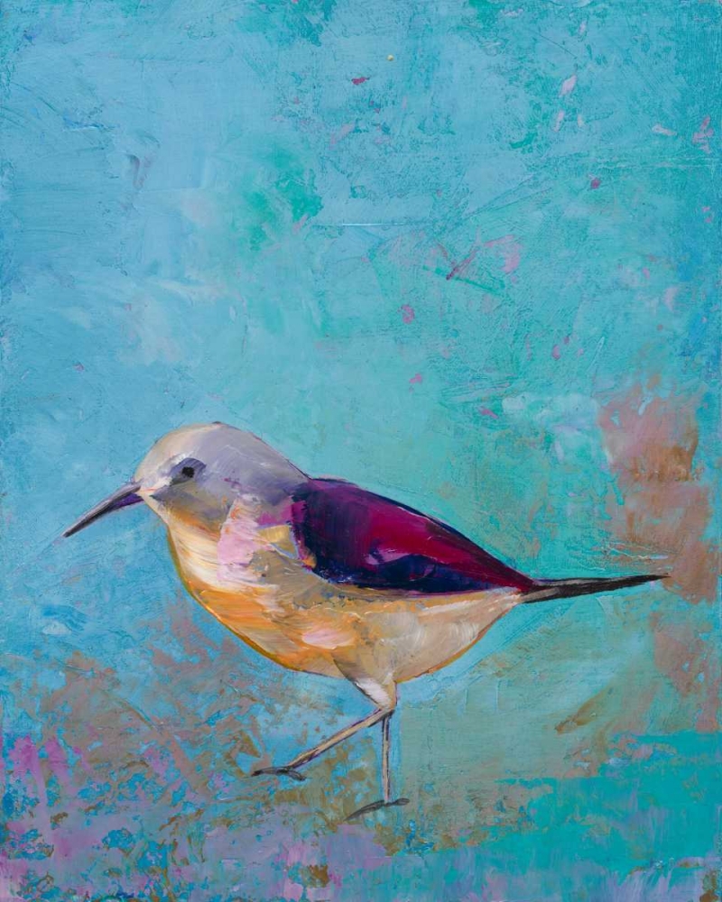 Wall Art Painting id:76460, Name: Vibrant Shorebird I, Artist: Altug, Mehmet