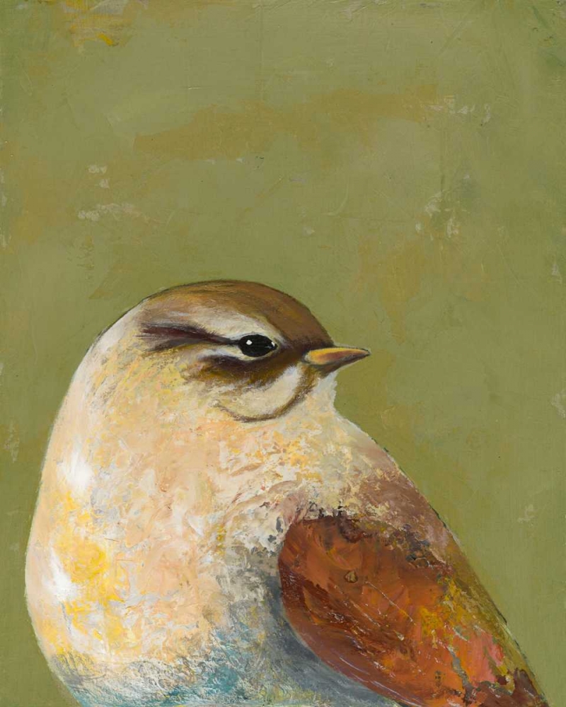 Wall Art Painting id:68492, Name: Bird Portrait I, Artist: Altug, Mehmet
