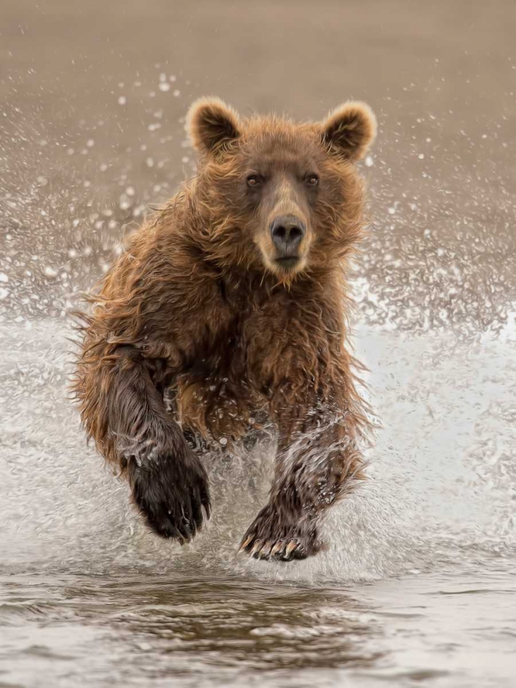 Similar wall art painting: 76478