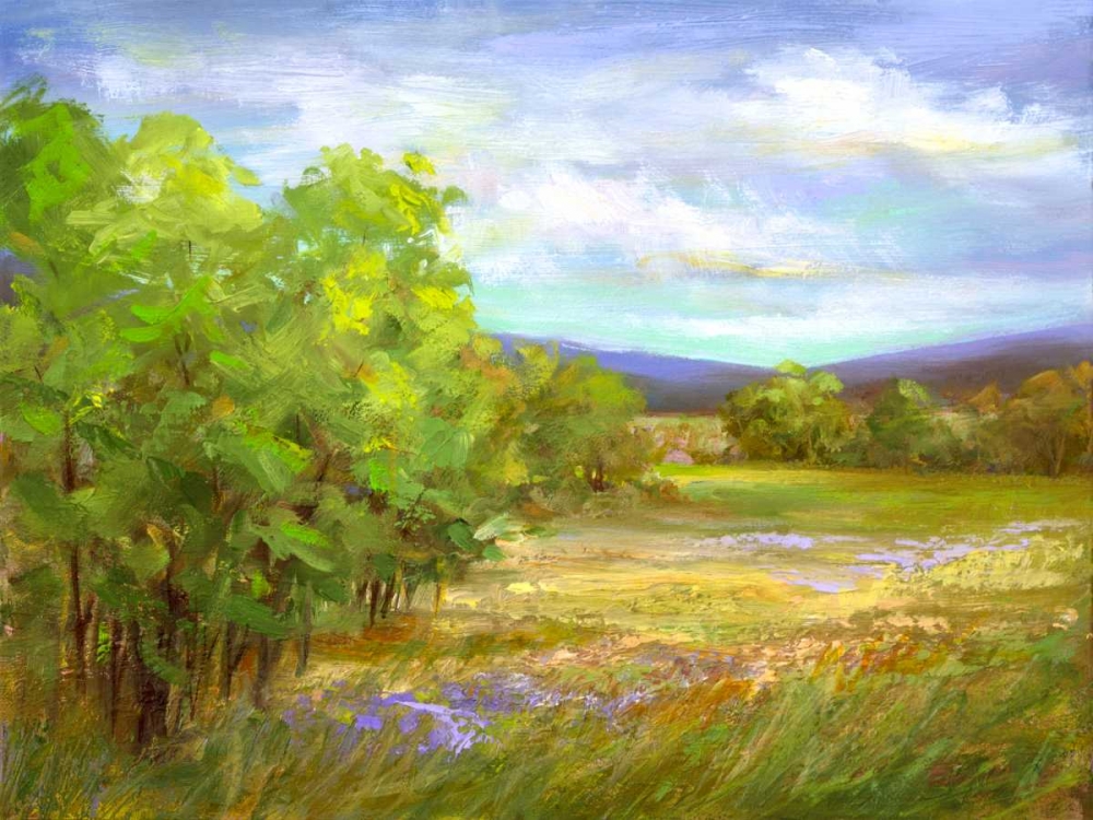 Art Print: Meadow Flowers