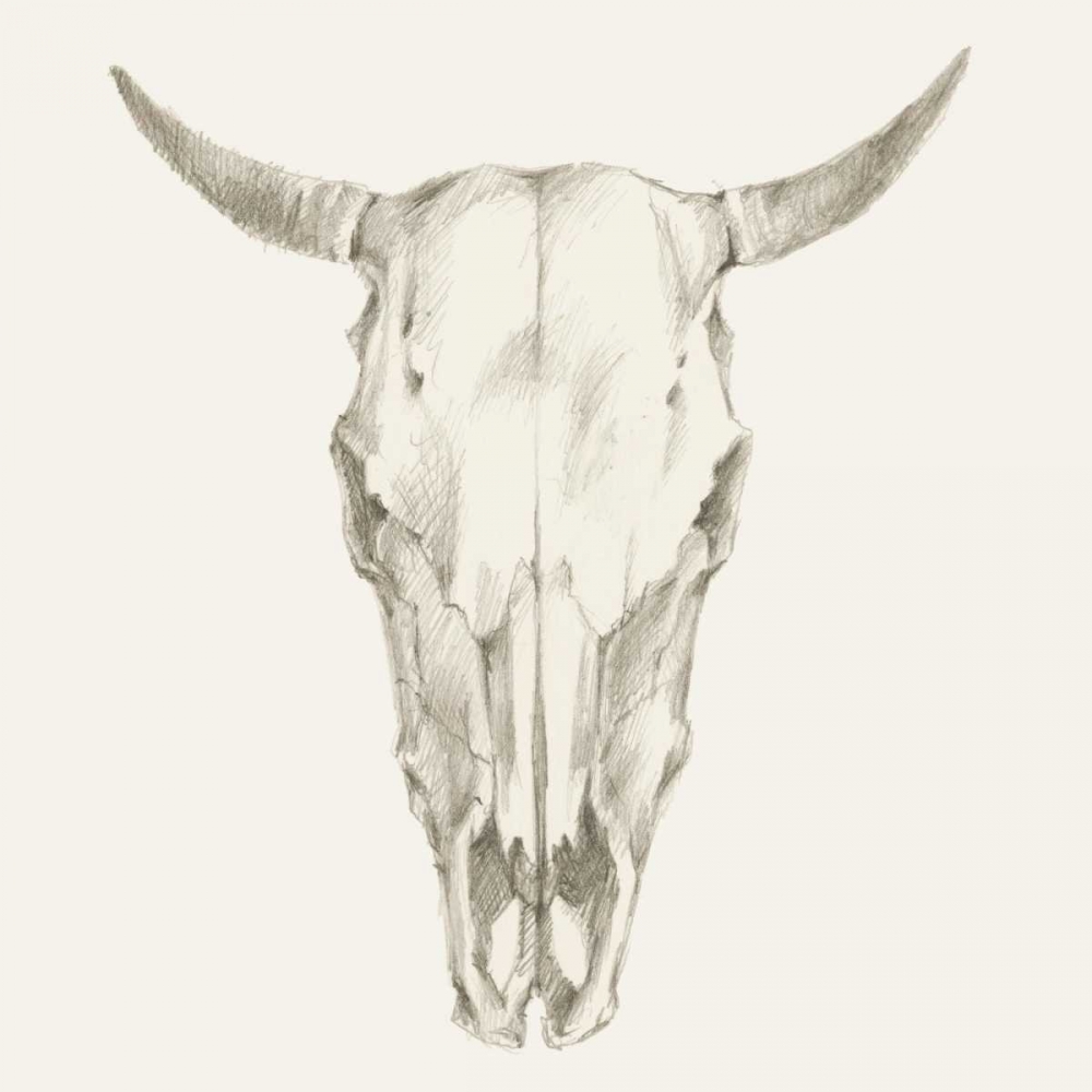 Wall art: Western Skull Mount I, by Harper, Ethan