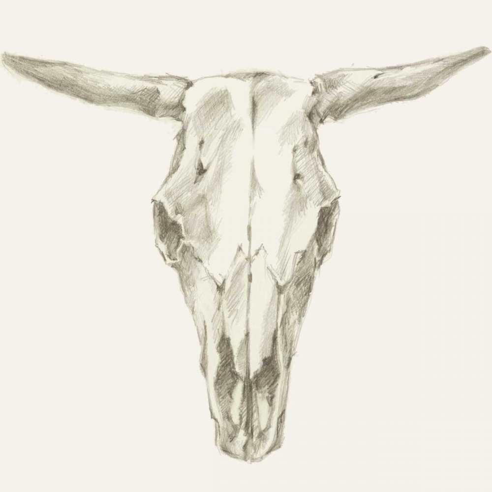 Wall art: Western Skull Mount II, by Harper, Ethan