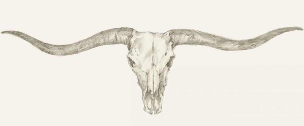 Wall art: Western Skull Mount III, by Harper, Ethan