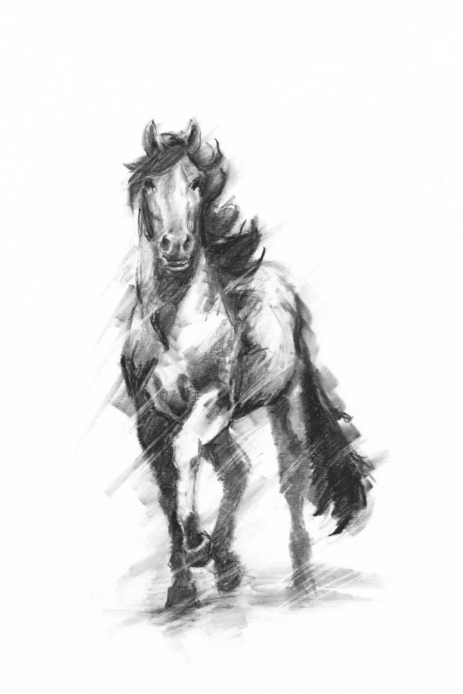 Wall art: Dynamic Equestrian I, by Harper, Ethan