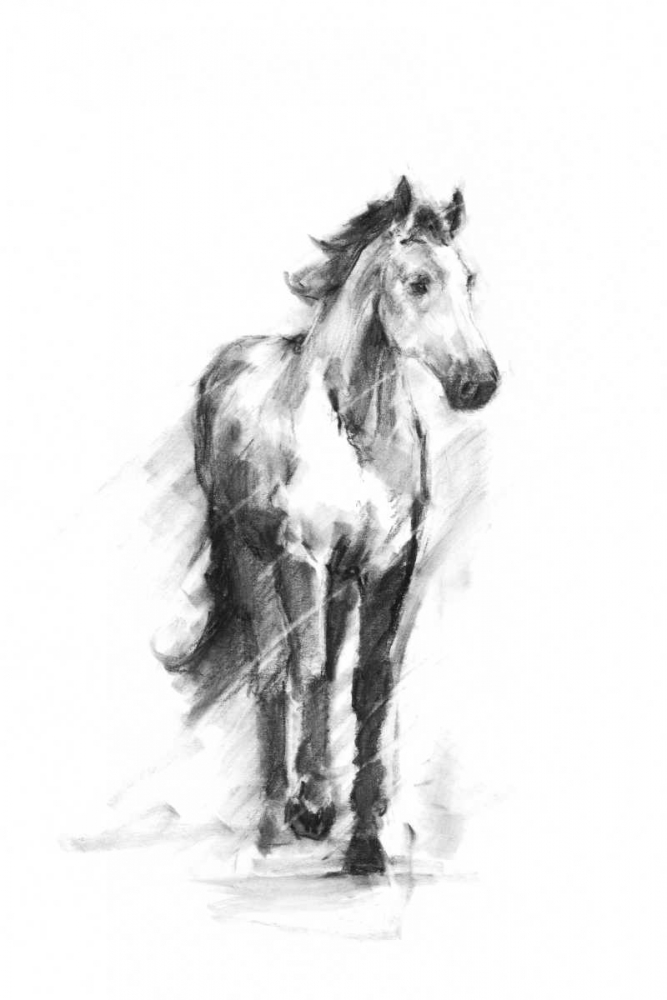 Wall Art Painting id:76543, Name: Dynamic Equestrian II, Artist: Harper, Ethan