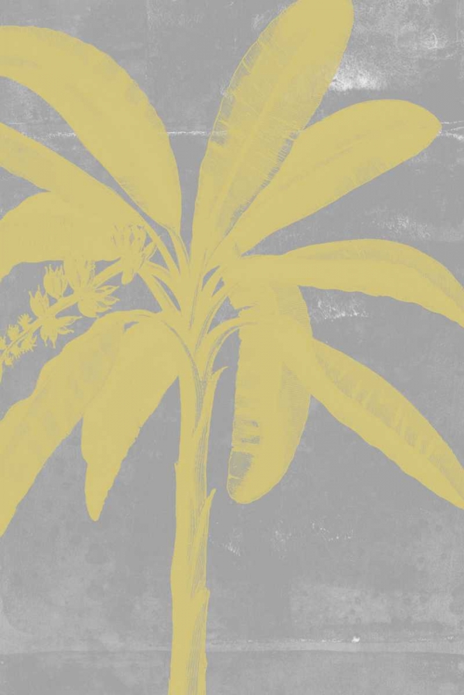 Art Print: Chromatic Palms III