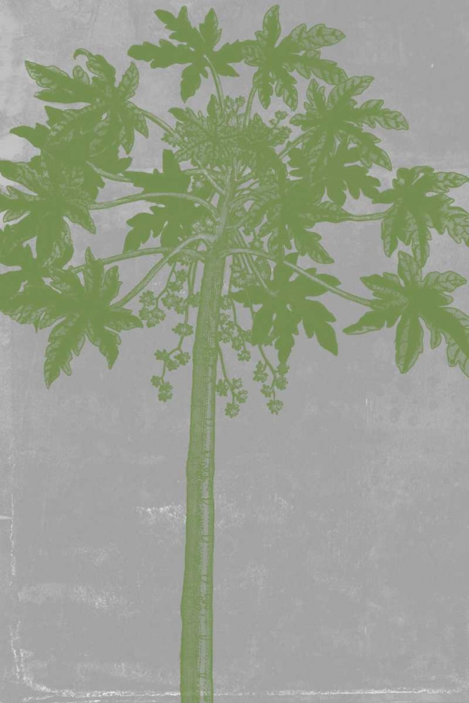 Art Print: Chromatic Palms IX