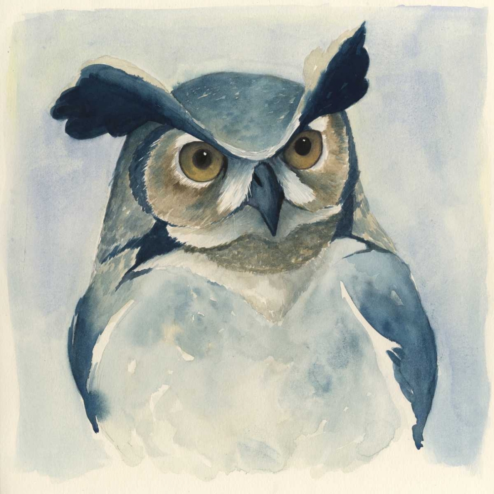 Wall art: Midnight Aves I, by Popp, Grace