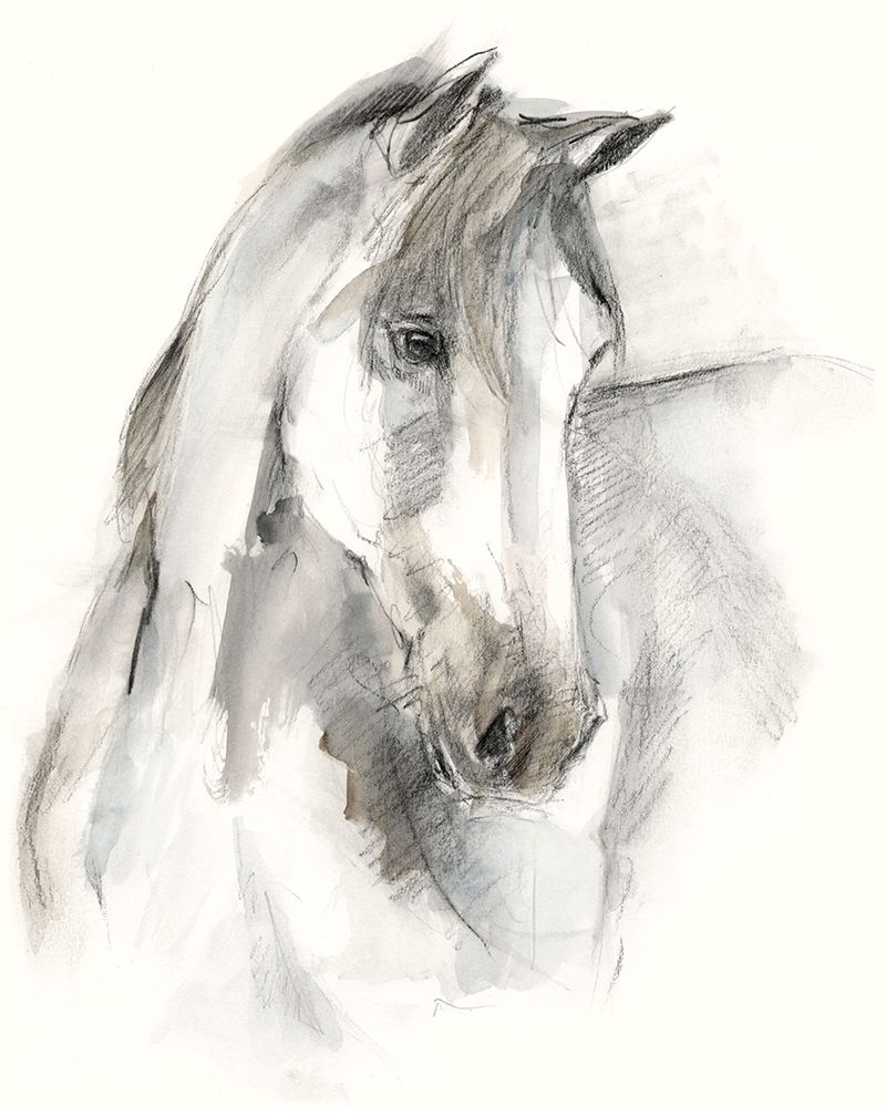 Art Print: Watercolor Equine Study I