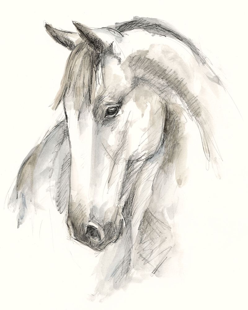 Art Print: Watercolor Equine Study II