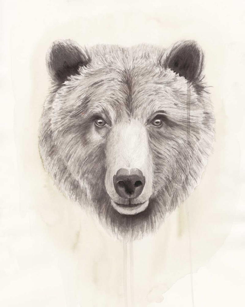 Wall art: American Wilderness I, by Popp, Grace