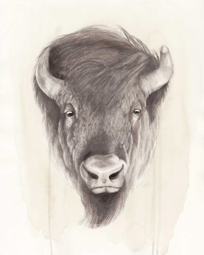 Wall art: American Wilderness II, by Popp, Grace